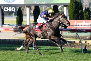 Brutal (NZ) began his career with an impressive five-length win at Caulfield